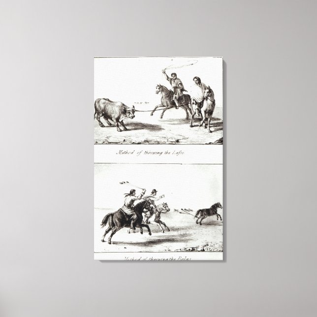 Impressão Em Tela Métodos para Jogar o Laço e o Bolas (Frente)