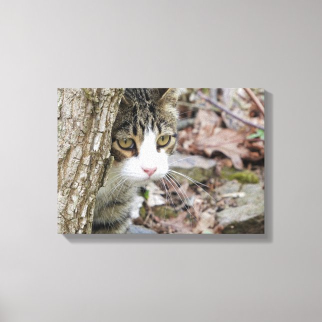 Impressão Em Tela Meu Gato De Caça (Frente)