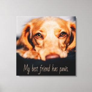 Impressão Em Tela Meu melhor amigo tem um cão de patas, Puppy Meme