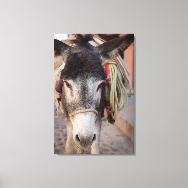 Impressão Em Tela México, San Miguel De Allende 2 (Frente)