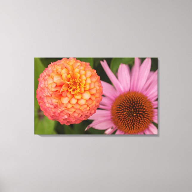 Impressão Em Tela Michigan, Dearborn, Greenfield Village. Pêssego (Frente)