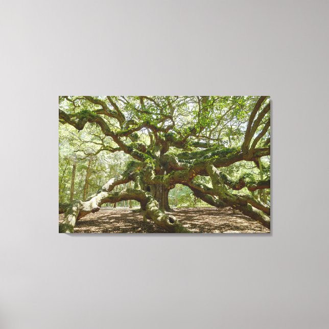 Impressão Em Tela Mighty Angel Oak (Frente)