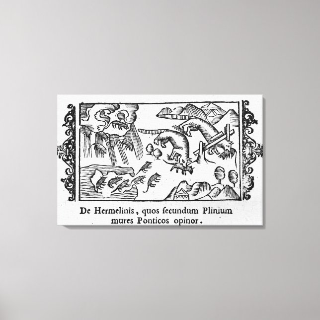 Impressão Em Tela Migração dos limmings (Frente)