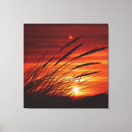 Impressão Em Tela Milho