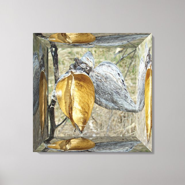 Impressão Em Tela Milkweed Pods - Caixa Espelho (Frente)