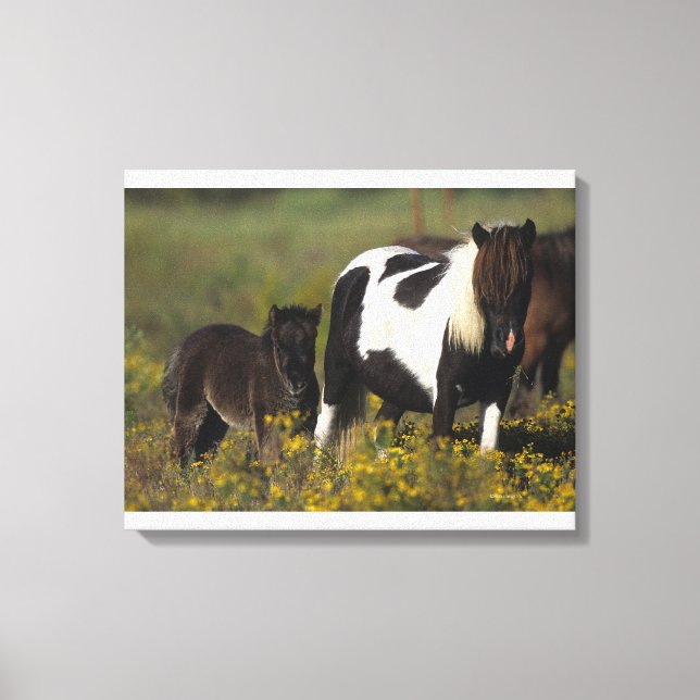 Impressão Em Tela Miniatura Mare & Foal nas Flores (Frente)