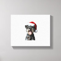 Miniatura Schnauzer Natal