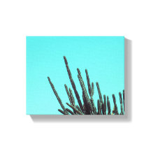 Minimalismo das Plantas Suculentas do Cactus Verde