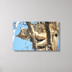 Impressão Em Tela Mischievous Lynx