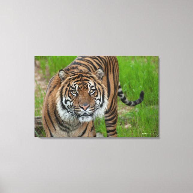 Impressão Em Tela modelo (Frente)