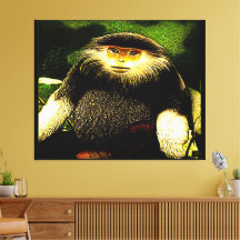 Modelos de primatas: Documento de mancha vermelha