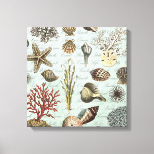 Impressão Em Tela Modern Vintage Seashells