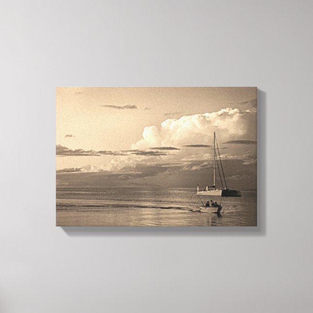 Impressão Em Tela Monkey Mia (Frente)