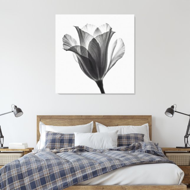 Impressão Em Tela Monochrome botanical fine art photograph (Insitu(Quarto))