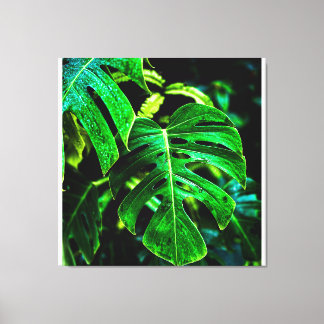 Impressão Em Tela Monstera Tropical Glow – Fotografia de Folhas da S