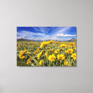 Impressão Em Tela Montanha Rochosa