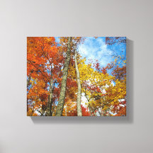 Montanhas do Enfumaçado excelente Folhas de queda 