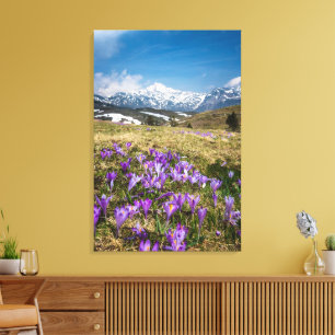 Impressão Em Tela Montanhas e flores de crocus em Velika Planina, Es