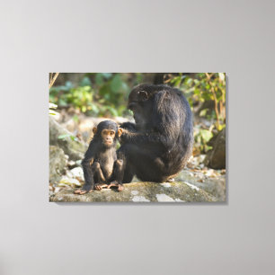 Impressão Em Tela Montanhas parque nacional de Mahale, Tanzânia