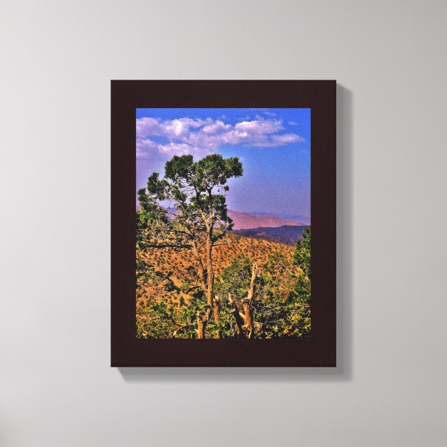 Impressão Em Tela Montanhas Shafa (Frente)