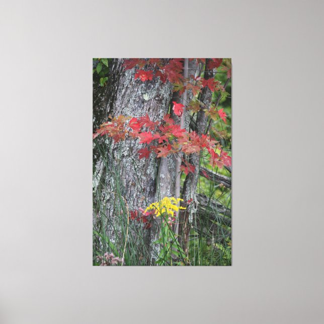 Impressão Em Tela Montante Da Natureza (Frente)