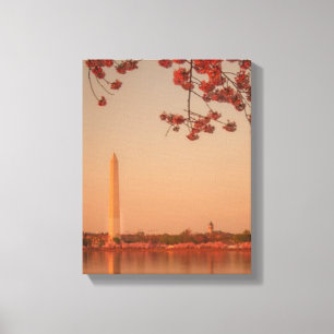 Impressão Em Tela Monumento de Washington Sakura no por do sol