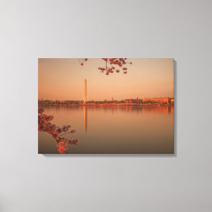 Impressão Em Tela Monumento de Washington Sakura no por do sol