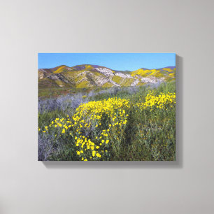Impressão Em Tela Monumento Nacional do Carrizo Plain