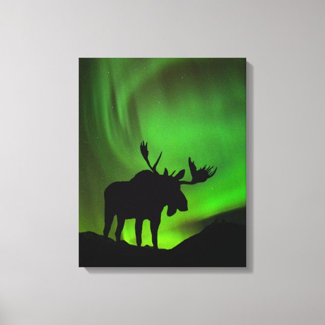 Impressão Em Tela Moose with Green Aurora Borealis, Alaska (Frente)