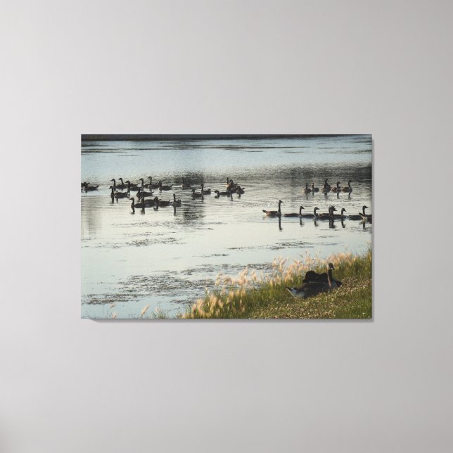 Impressão Em Tela Moradia de Illinois (Frente)