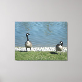 Impressão Em Tela Moradia de Illinois