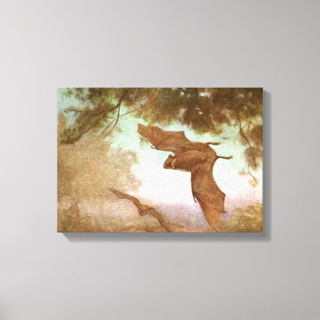 Impressão Em Tela Morcegos Vampiros por CE Swan, Animais Selvagens A (Frente)