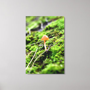 Impressão Em Tela Mosses e Lichens com um pequeno Cogumelo