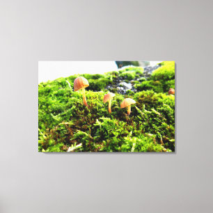 Impressão Em Tela Mosses e Lichens com um pequeno Cogumelo