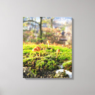 Impressão Em Tela Mosses e Lichens com um pequeno Cogumelo