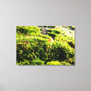 Impressão Em Tela Mosses e Lichens com um pequeno Cogumelo