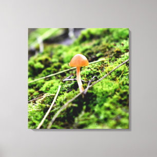 Impressão Em Tela Mosses e Lichens com um pequeno Cogumelo