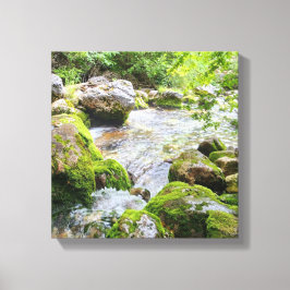 Impressão Em Tela Mossy Mountain Stream – Pristine Forest River Canv