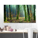 Impressão Em Tela Mossy Trees em Floresta<br><div class="desc">Esta bela foto mostra árvores mesquitas em uma floresta esparsa. Imagem por (1) Joe (1) de (1) Pixabay (1)</div>