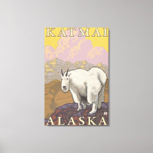 Impressão Em Tela Mountain Goat - Katmai, Alaska