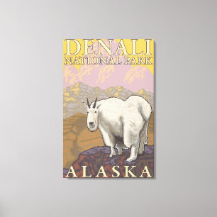 Impressão Em Tela Mountain Goat - Parque Nacional Denali, Alasca