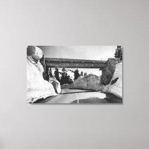 Impressão Em Tela Mt. Rainier, Washington Chinook Pass Summit Naches