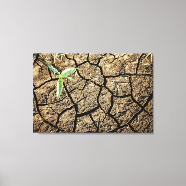 Impressão Em Tela Muda na Terra Rachada (Frente)