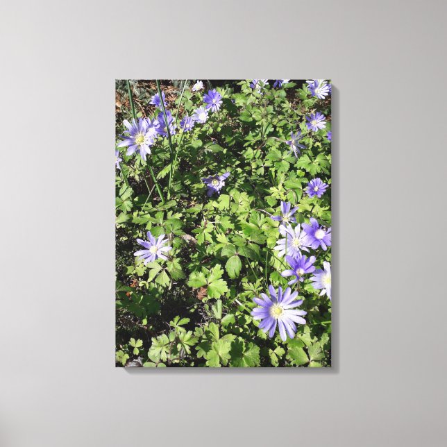 Impressão Em Tela Muitas flores (Frente)