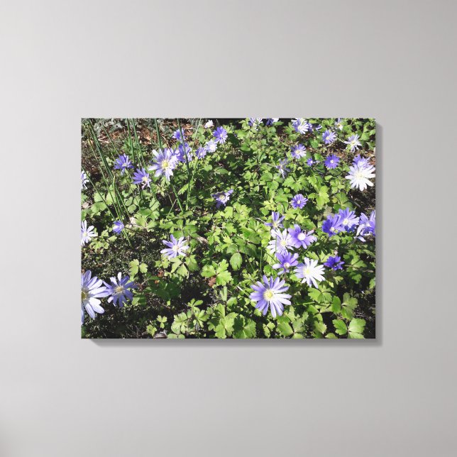 Impressão Em Tela Muitas flores (Frente)