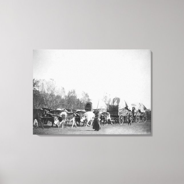 Impressão Em Tela Mulher e Menino com Bullwhackers em Comboio Ox (Frente)