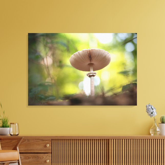 Impressão Em Tela Mushroom Nature Photo (Insitu(Sala de estar))