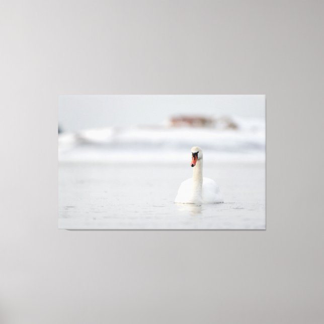 Impressão Em Tela Mute nadando na água gelada (Frente)