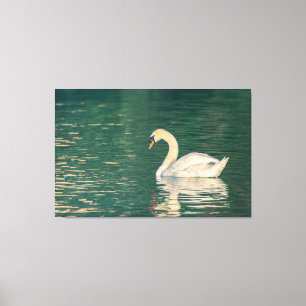 Impressão Em Tela Mute Swan