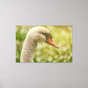Impressão Em Tela Mute Swan